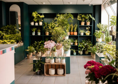 Projet Oh Les Fleurs La Madeleine